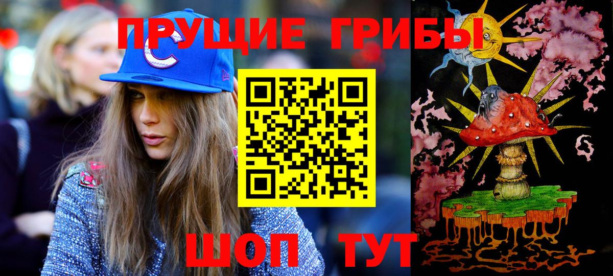 Псилоцибиновые грибы Psilocybe Краснодар