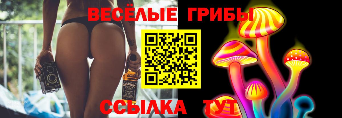 Галлюциногенные грибы MAGIC MUSHROOMS  Вход с VPN  Псилоцибиновые грибы Magic Shrooms  Краснодар 